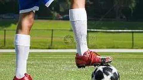 熊猫体育 产品 113652 y4n