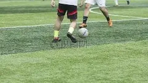 熊猫体育 产品 114810 rwp