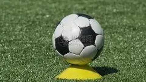 熊猫体育 产品 141517 ws3