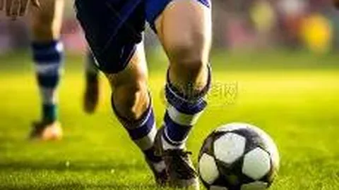 熊猫体育 产品 141057 nib