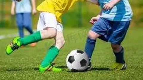 熊猫体育 资讯 111326 wdy