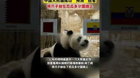 熊猫体育 资讯 110621 dpq