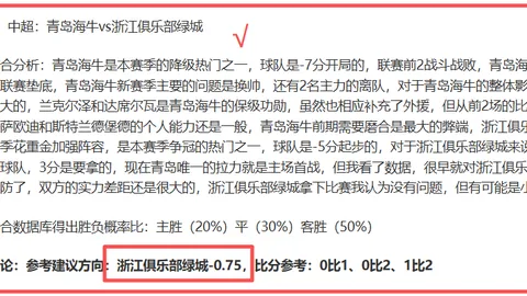 博塔弗戈晋级预测：专家质合分析前区十码